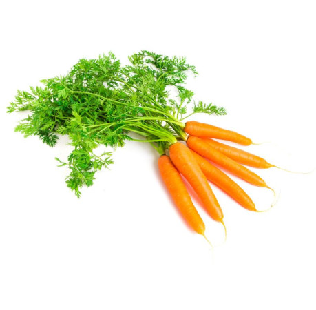 Морковь молодая 500г
